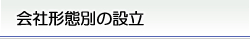 会社形態別の設立
